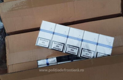 5.500 de pachete cu ţigări ascunse într-un TIR încărcat cu material lemnos, depistate la frontieră