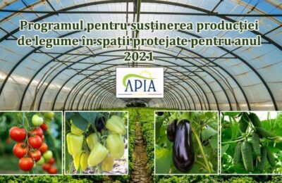 Fermierii pot depune până marţi cererea pentru susţinerea producţiei de legume în spaţii protejate