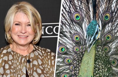 Martha Stewart acuză publicațiile „știrilor false” referitor la câți păuni „glorioși” are la ferma ei