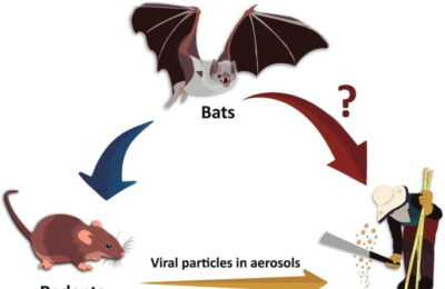 Bărbat din Neamţ, diagnosticat cu hantavirus la Spitalul ”Dr.C.I.Parhon” din Iaşi; prognosticul este rezervat