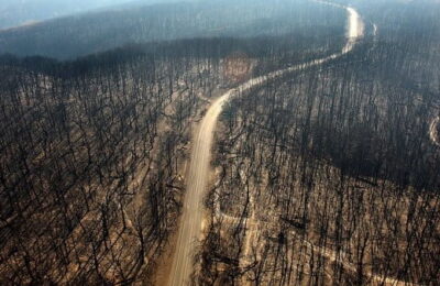 Habitatul speciilor ameninţate cu dispariţia