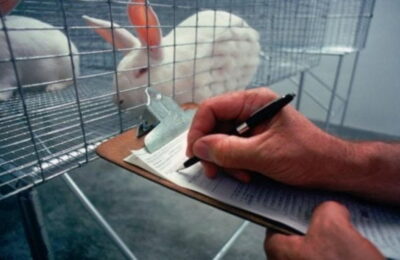 Parlamentul European cere eliminarea experimentelor pe animale în scopuri științifice