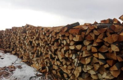 În Bihor, aproape 83 de metri cubi de lemn de foc, fără documente, confiscaţi de poliţişti