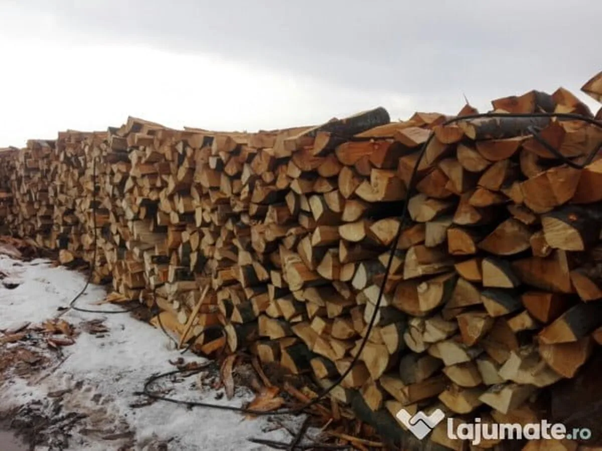 În Bihor, aproape 83 de metri cubi de lemn de foc, fără documente, confiscaţi de poliţişti