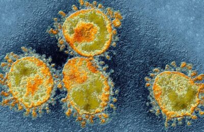 În Portugalia, infectările cu varianta Delta a coronavirusului reprezintă 90% din cazurile noi