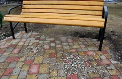 E interzis total să faci asta în România!