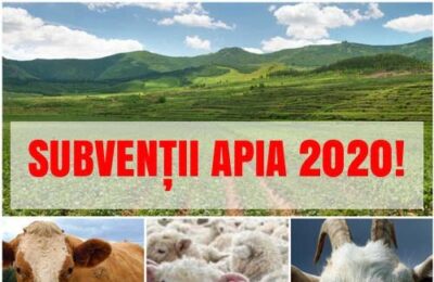Fermierii pot depune până pe 21 februarie cererile de plată pentru măsura „Bunăstarea animalelor”