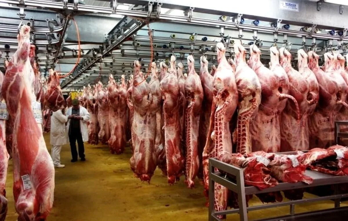 În câteva luni, în magazine nu va mai fi carne de porc sau de pasăre din România,