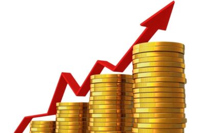 Cifra de afaceri în industrie a crescut semnificativ.