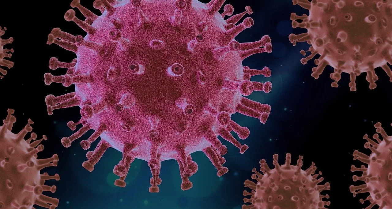 China a detectat zeci de oameni infectați cu un nou virus de origine animală