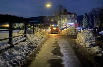 O româncă din Austria i-a ucis cu mașina pe copilul și soția amantului ei