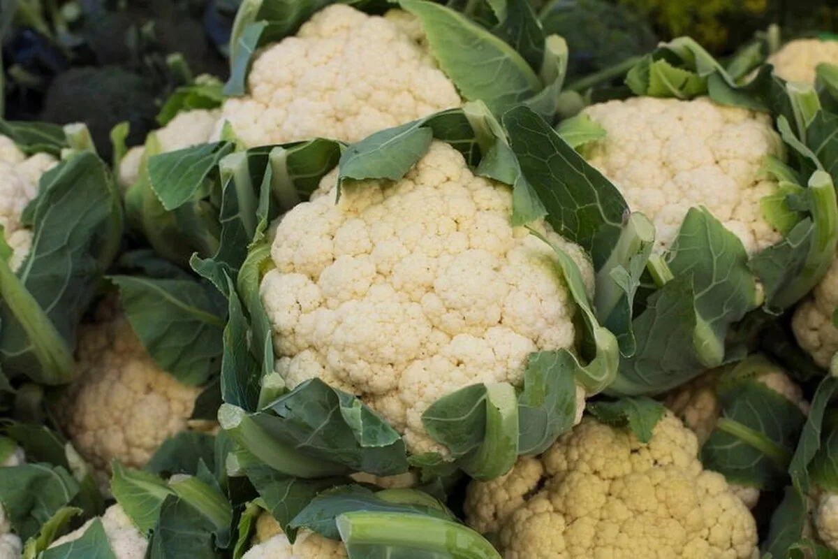 Cea mai sănătoasă și nutritivă legumă de toamnă.