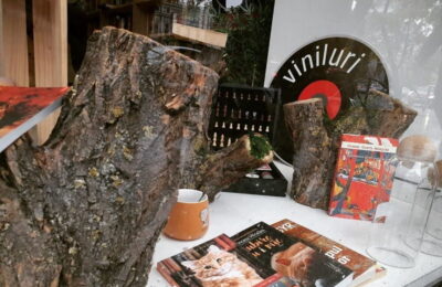 6 tehnici prin care să faci rapid curățenia de toamnă