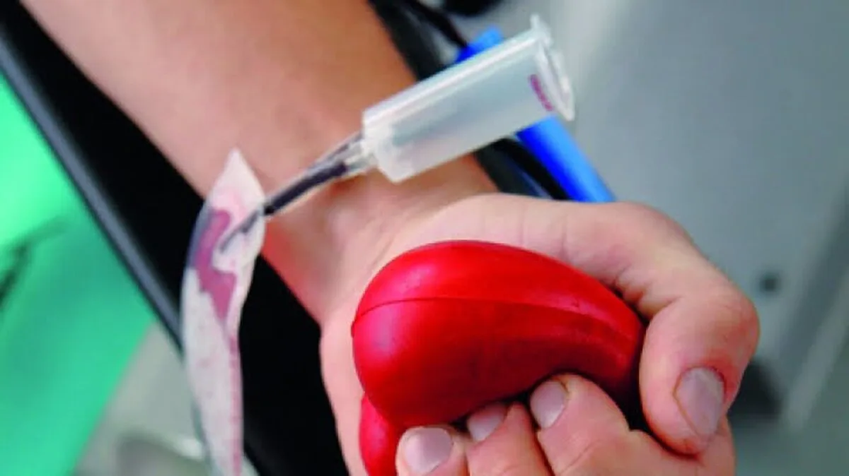Ce trebuie să ştim despre Registrul Naţional al Donatorilor Voluntari de Celule Stem Hematopoietice