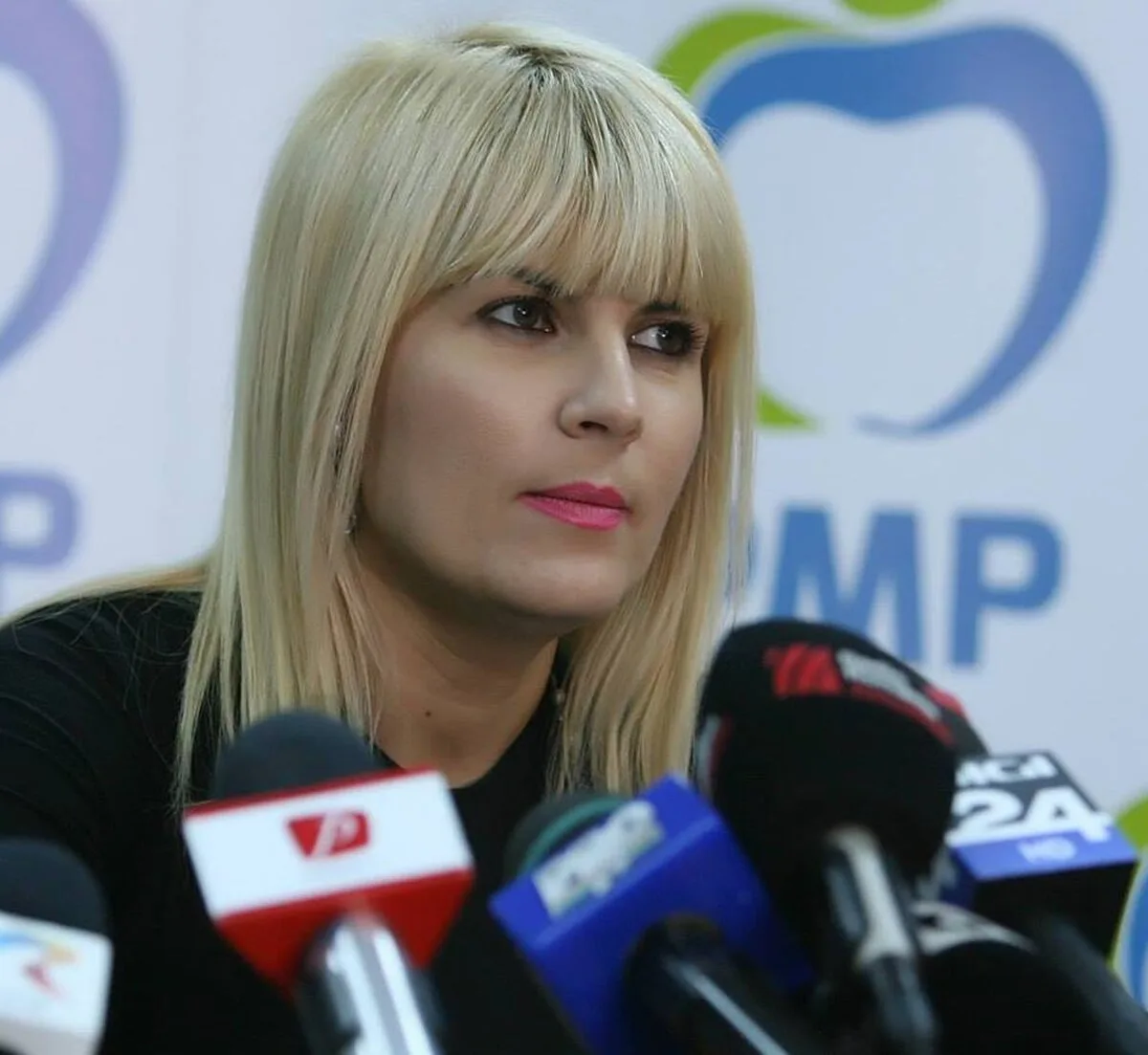 Elena Udrea cere să fie declarată nebună și fără discernământ