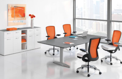 Confidentialitatea, unul dintre primele argumente cand cumperi un fiset metalic