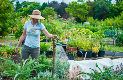 Vine primavara? Top 7 unelte necesare unui gradinar