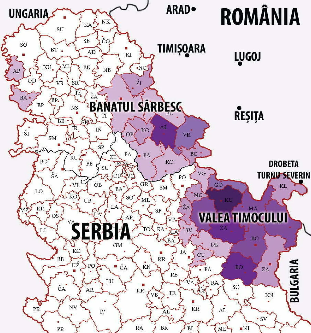 Comisia pentru comunităţile de români din afara României, a susţinut o dezbatere