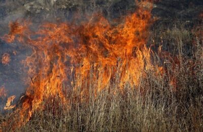Insula Evia se confruntă cu noi incendii.