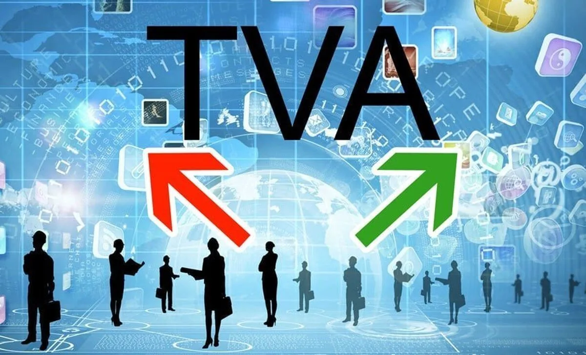 Guvernul ar putea să schimbe cotele de TVA