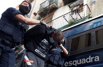 Mafioții din ‘Ndrangheta puneau delfini morți la uși, pentru intimidare.