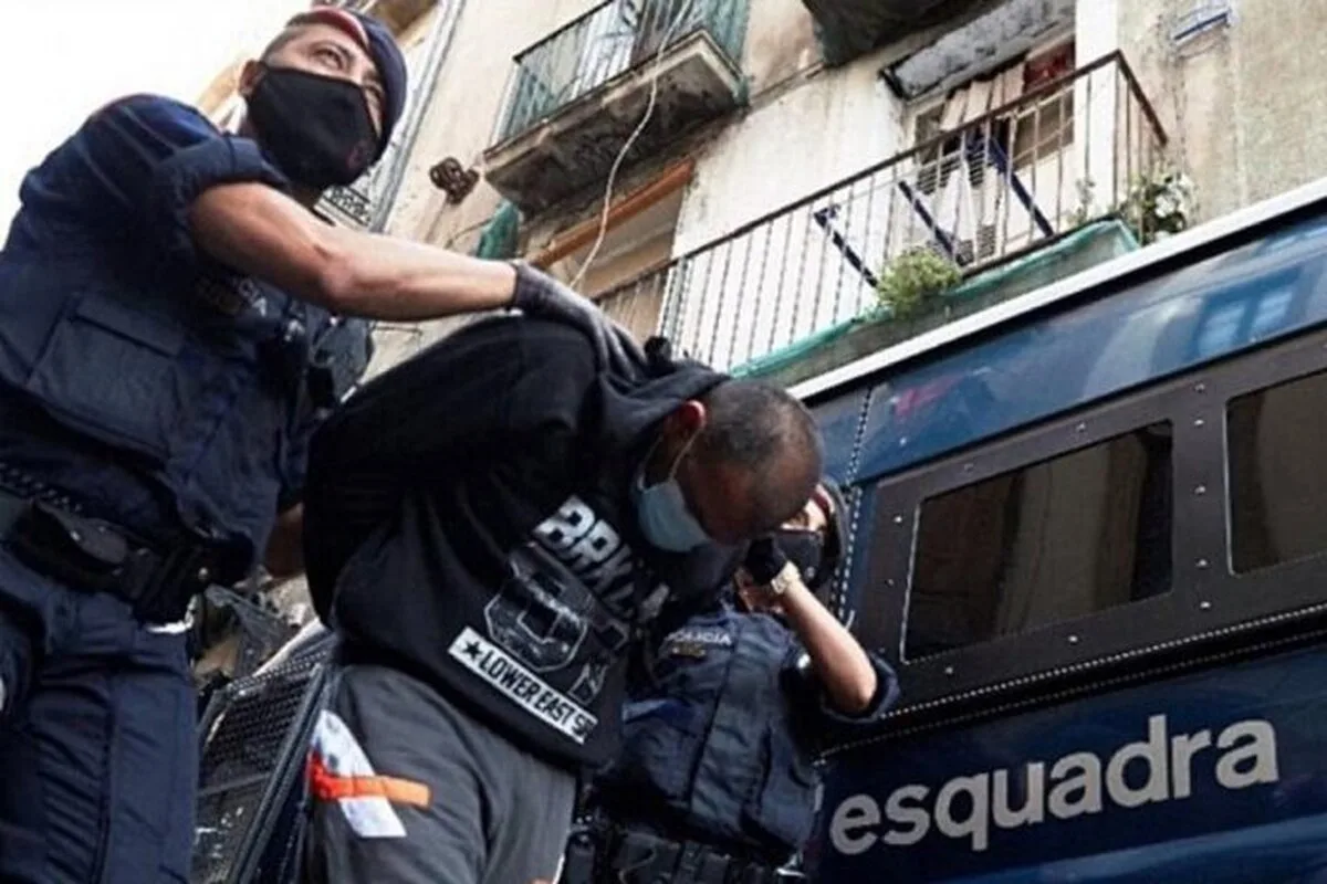 Mafioții din ‘Ndrangheta puneau delfini morți la uși, pentru intimidare.