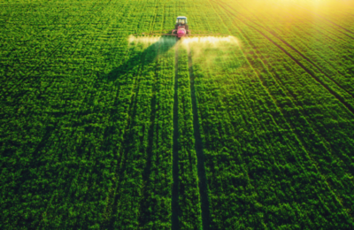 Interzicerea pesticidelor va afecta capitalul fermelor din România