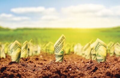 Până la 300 mil. EUR sprijin nerambursabil destinat IMM-urilor