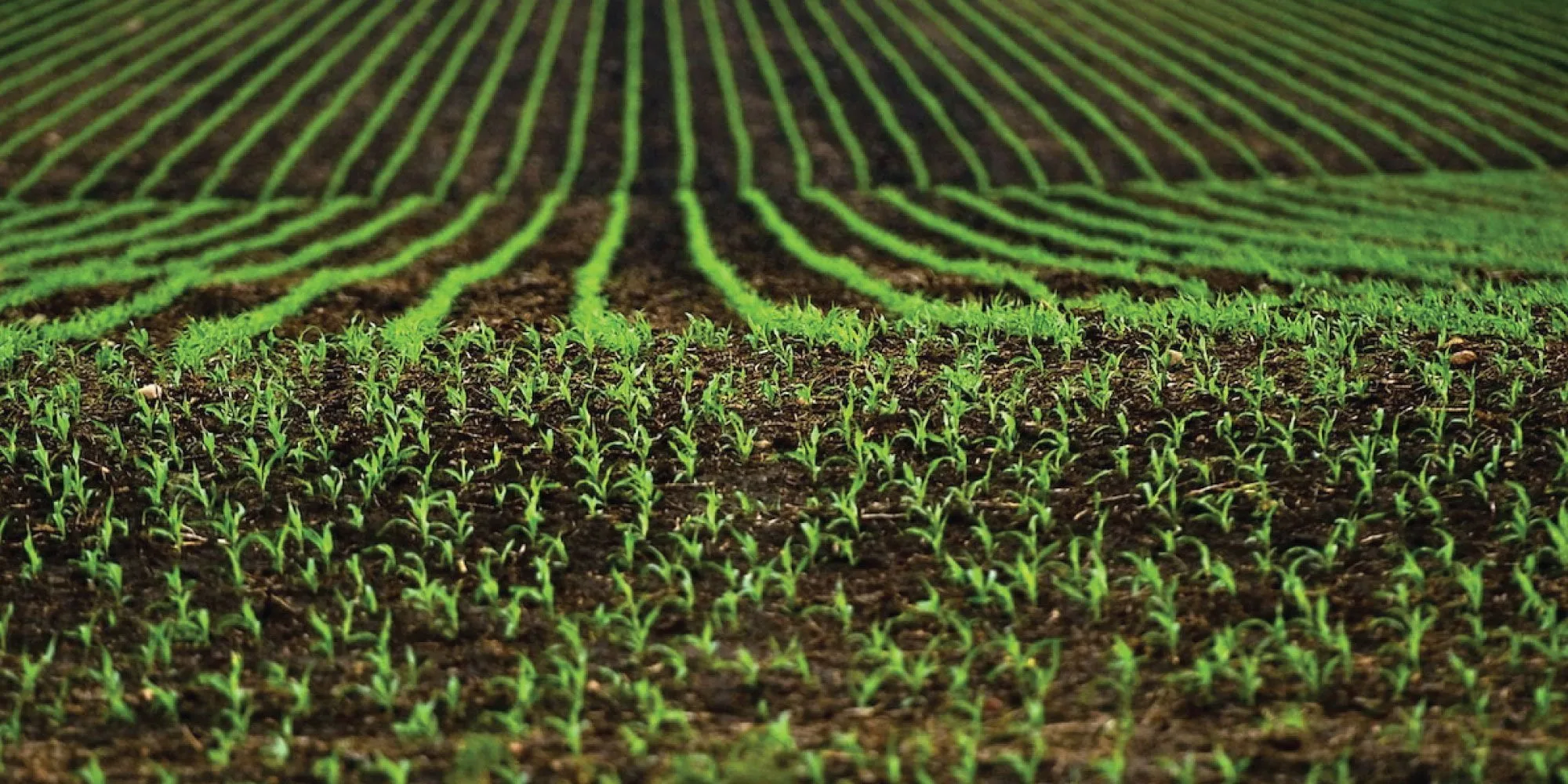 agricultura