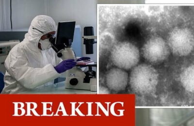 Japonia e în alertă! O nouă molimă s-a abătut asupra marii puteri mondiale