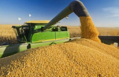 Rusia interzice exporturile de zahăr, cereale şi lemn în „țările neprietenoase”.