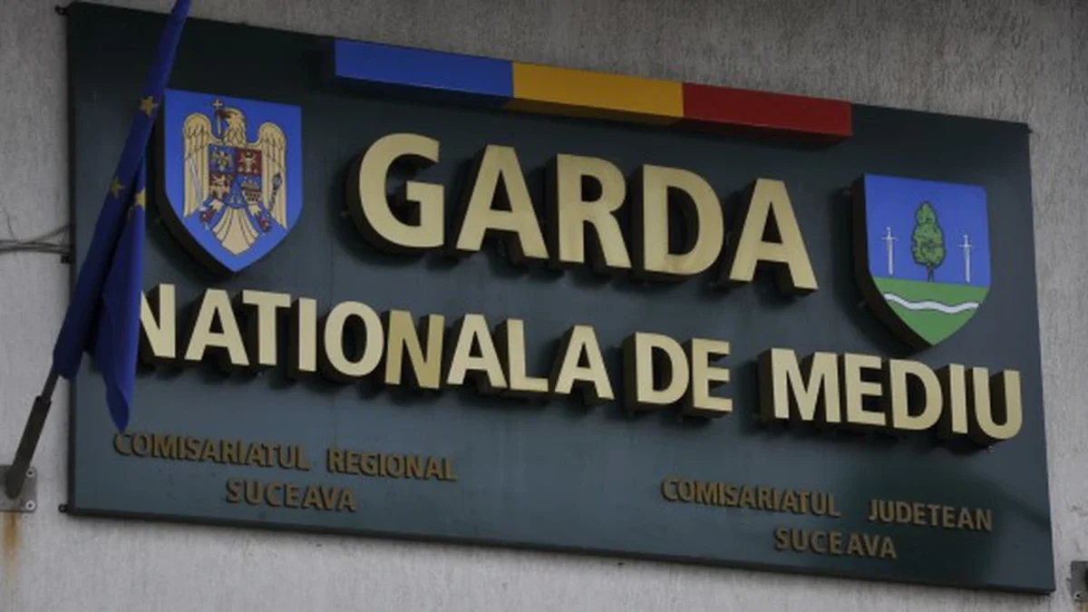 Garda de Mediu face ravagii: Amenzile au crescut cu peste 20%