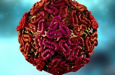 Un bărbat din Iași a fost infectat cu virusul West Nile