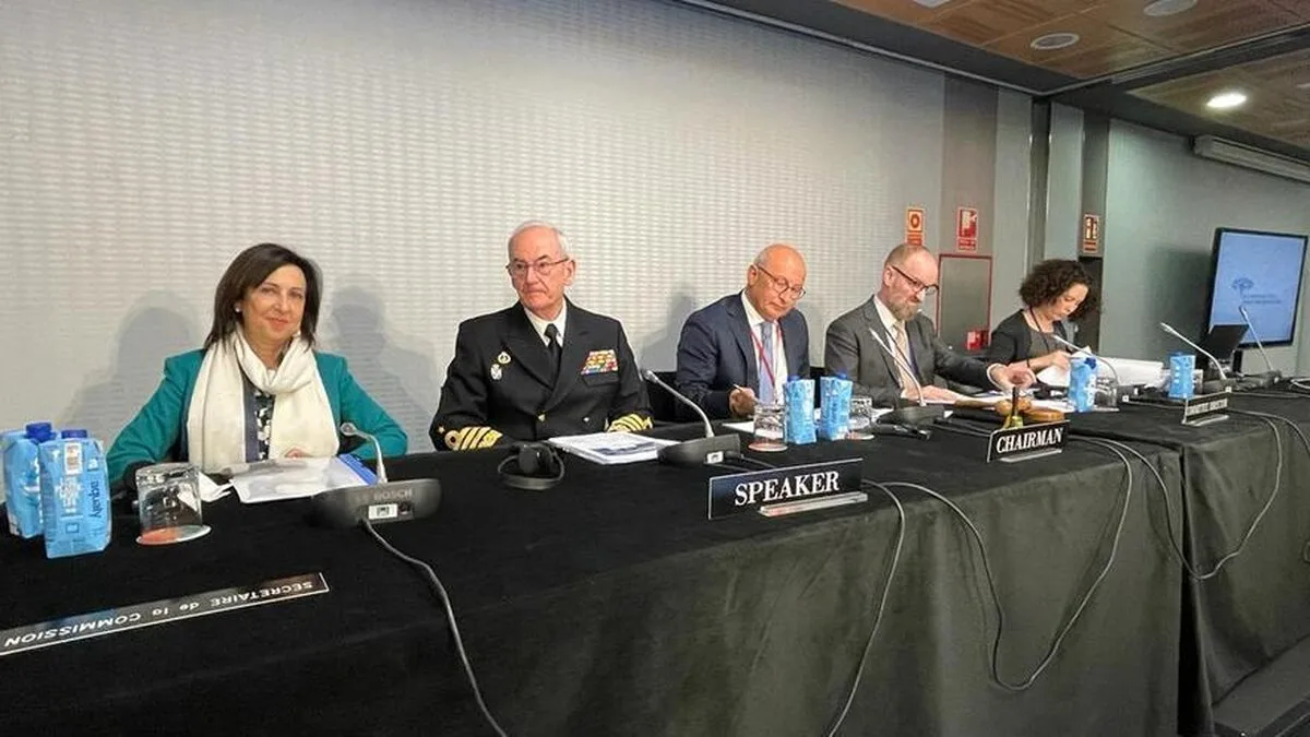 Ucraina le cere parlamentarilor NATO reuniți la Madrid mai multe rachete