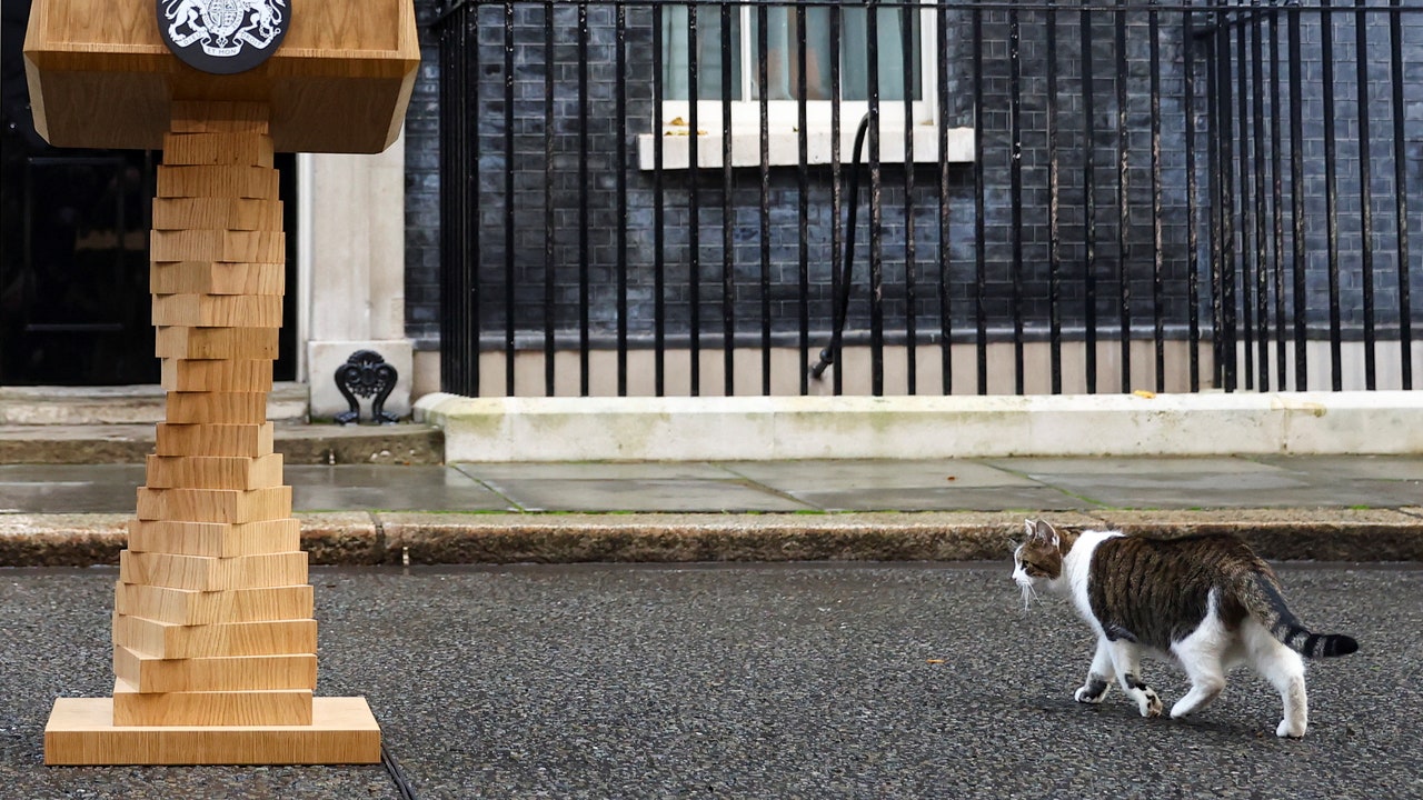 Larry, pisica din Downing Street, care nu înțelege de ce trebuie mereu să-și schimbe stăpânii
