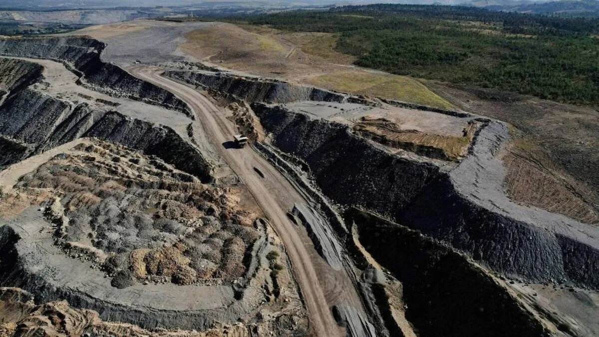 Consumul global de cărbune va atinge un nou record