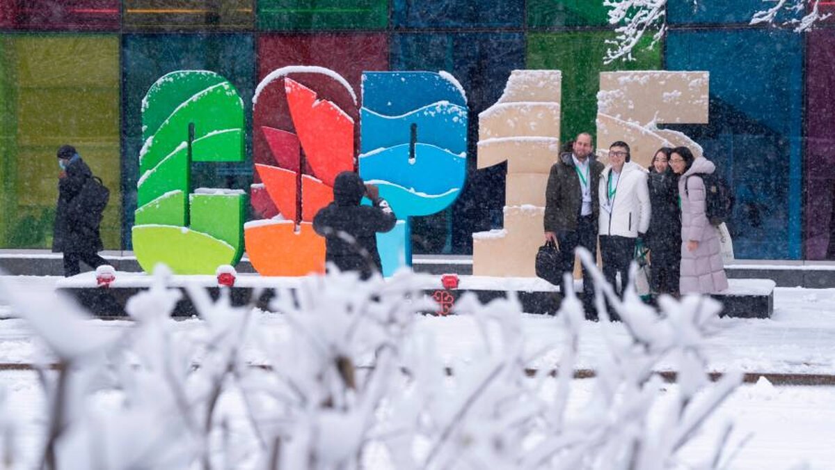 COP15: Investitorii participă pentru prima dată la Summitul Naturii ONU