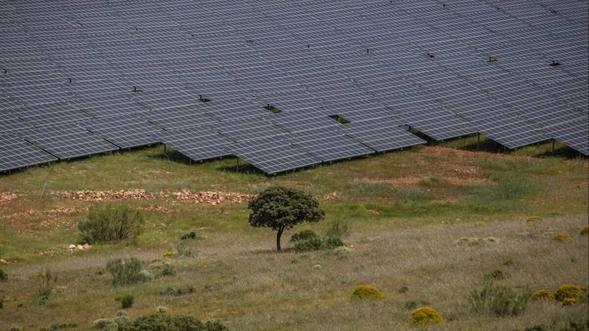 Conducta sau cablu?  Companiile sunt împărțite în ceea ce privește cel mai bun mod de a transporta energia Europei
