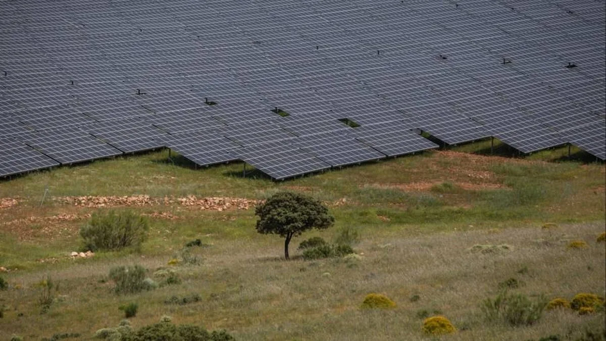 Conducta sau cablu?  Companiile sunt împărțite în ceea ce privește cel mai bun mod de a transporta energia Europei