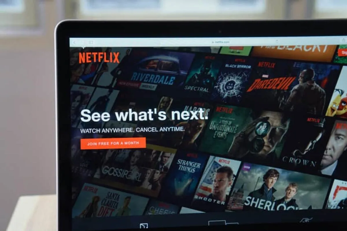 Autoritatea guvernamentală stabilește că distribuirea autentificărilor la Netflix este ilegală