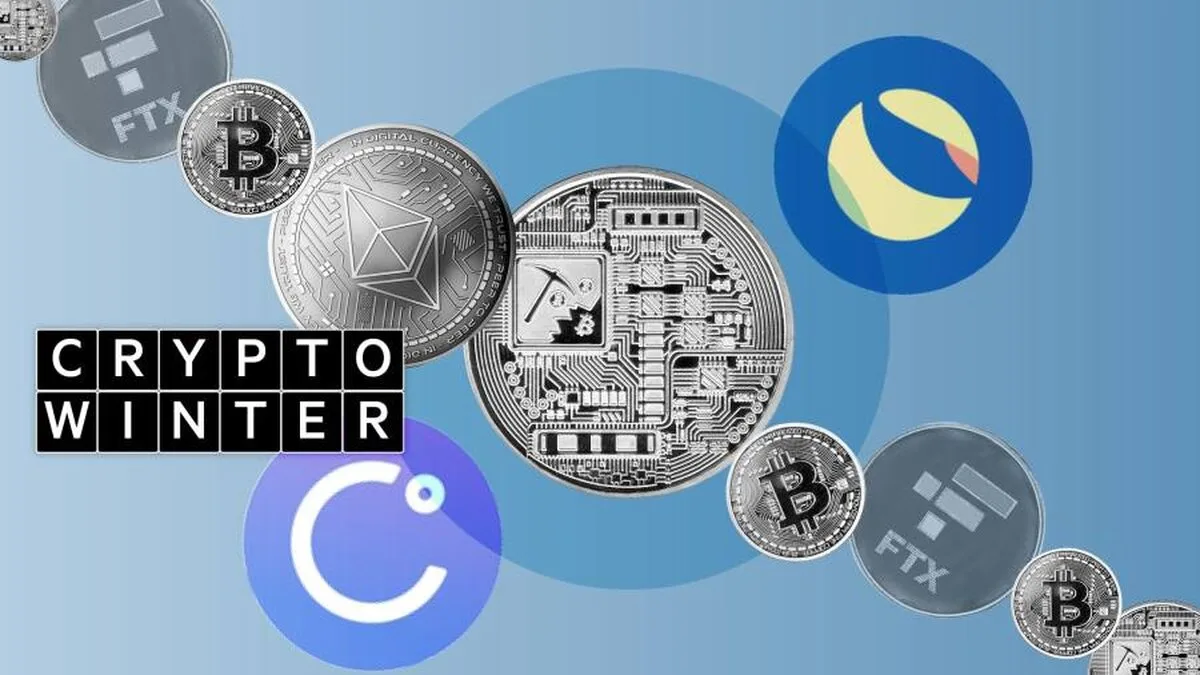 Anul într-un singur cuvânt: Crypto winter