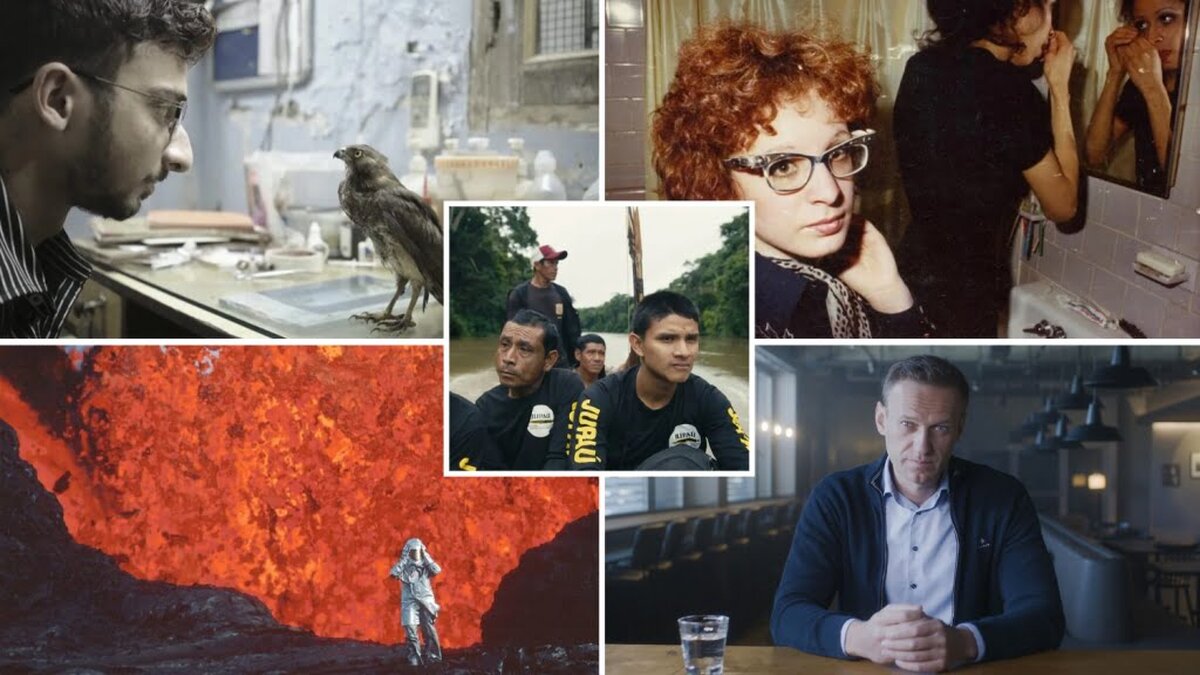 Candidații lui Doc sunt pe lista scurtă a premiilor Oscar, dar unii concurenți au fost respinși – News24