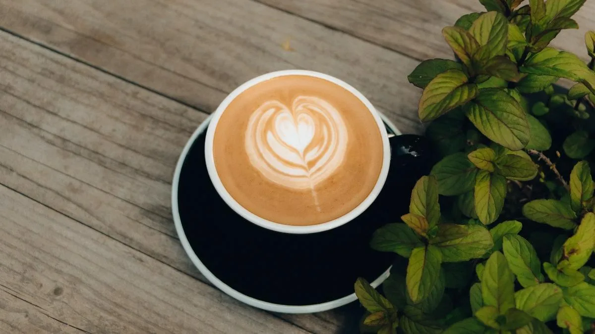 Proprietarul unui bar percepe 2 euro pentru o cafea și este amendat