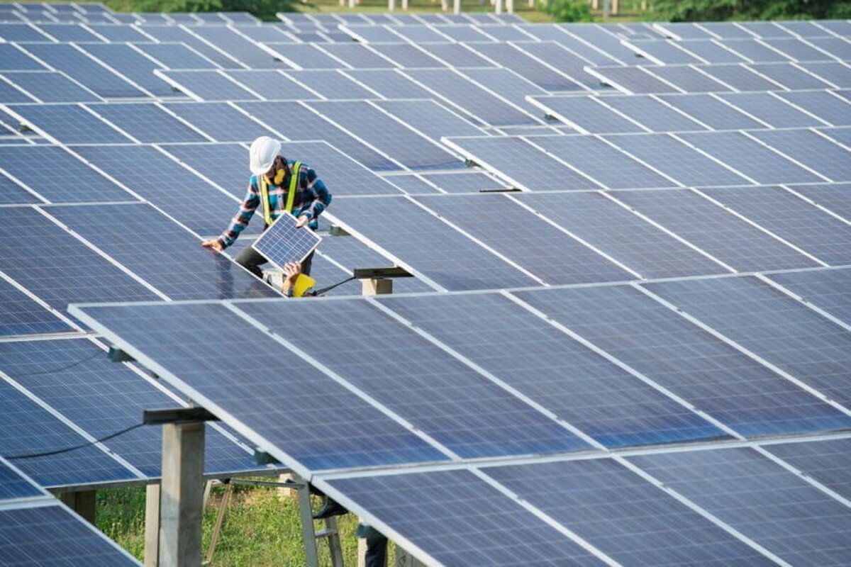 Gigantul fermei solare susținut de oraș se luptă pentru a face lumină asupra licitației