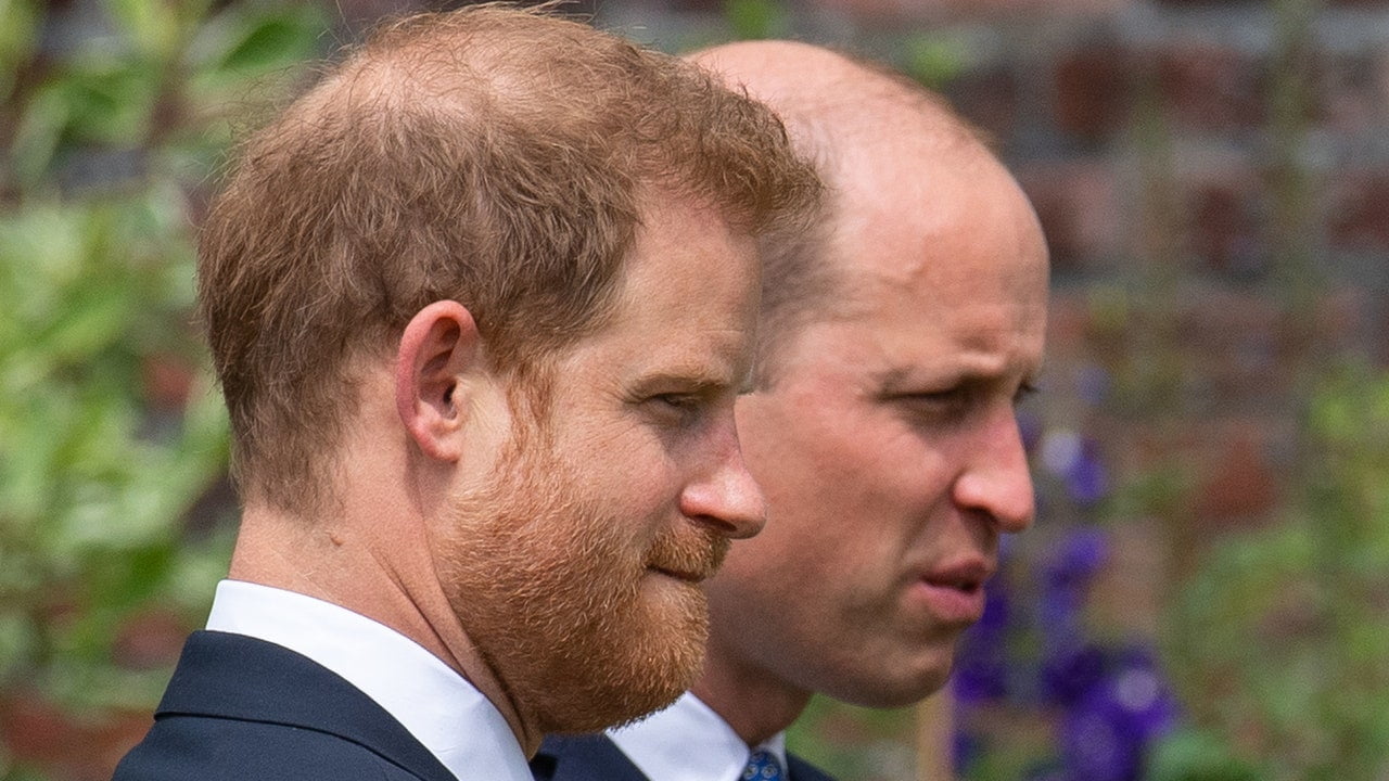 În Spare, Harry îl numește pe William „fratele său iubit și dușmanul lui”