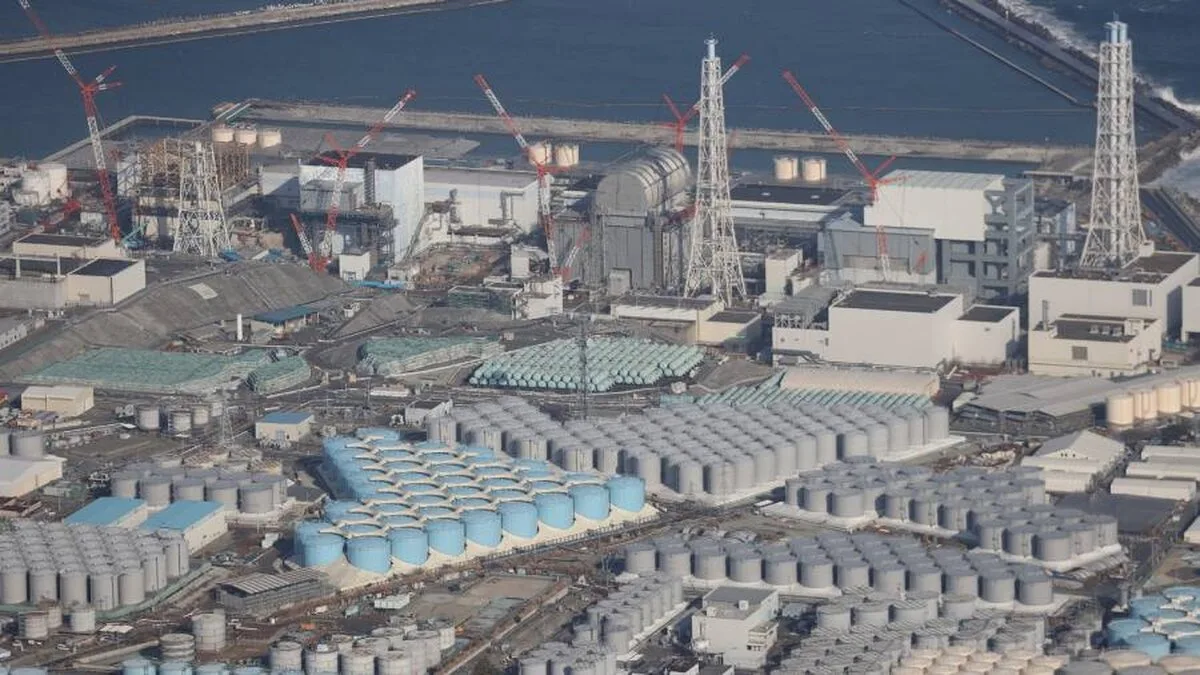 Repornirea nucleară a Japoniei a fost afectată de lipsa capacităților de inginerie și producție