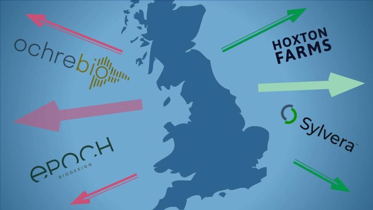 Start-up-urile tehnologice din Marea Britanie își grăbesc expansiunea în străinătate după reducerile fiscale pentru cercetare și dezvoltare
