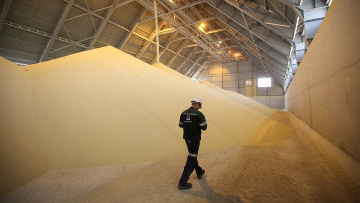 Veniturile din exporturile de îngrășăminte din Rusia cresc cu 70% în 2022, pe măsură ce prețurile cresc