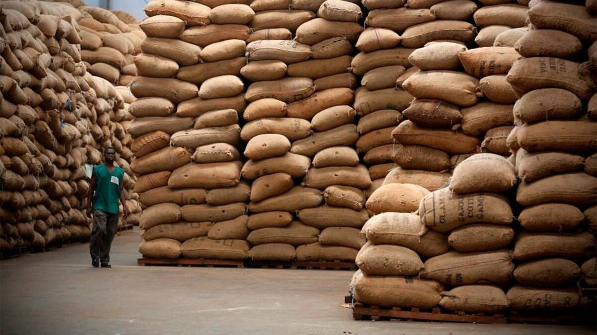 Olam analizează listarea ramuțelor agricole din Singapore și Arabia Saudită