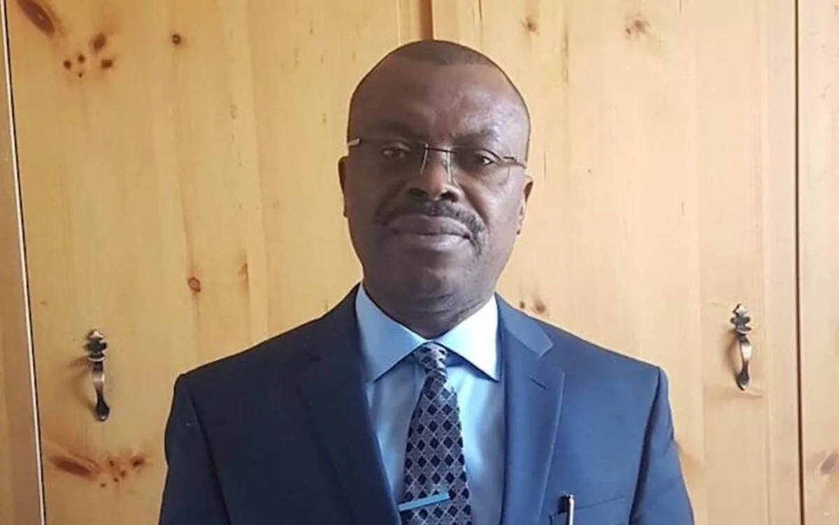 Godwin Chukwuka Usifo, analist de afaceri
